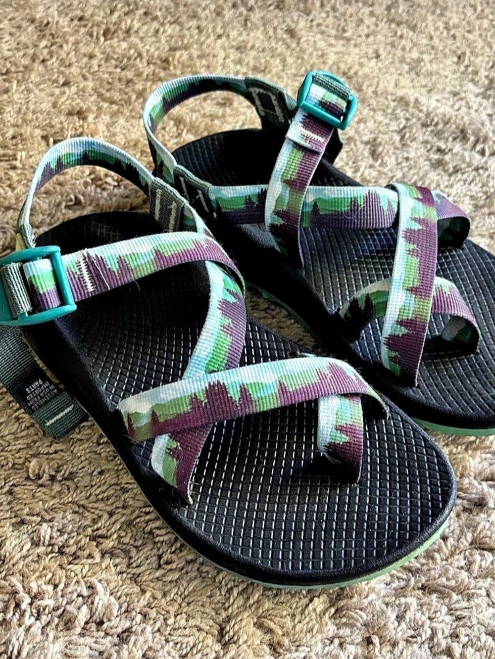 Chaco Z2 Sport Sandals (Mountain/Tree Color)